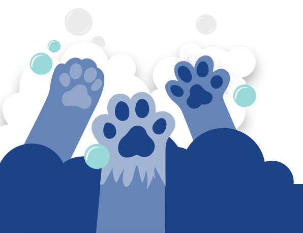 paws