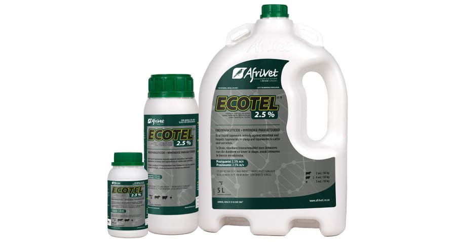 Ecotel 2.5%