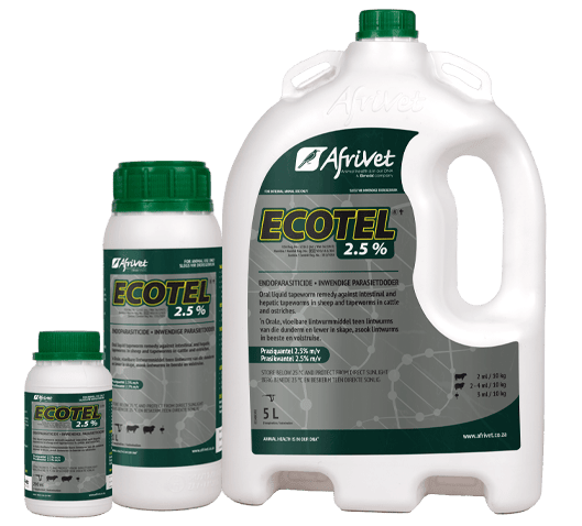 Ecotel 2.5%
